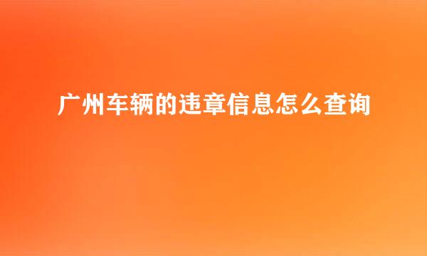 广州车辆的违章信息怎么查询