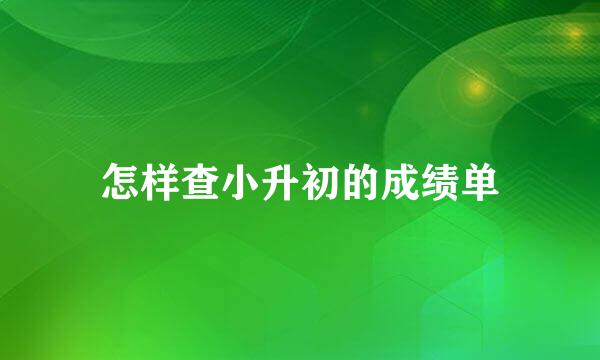 怎样查小升初的成绩单