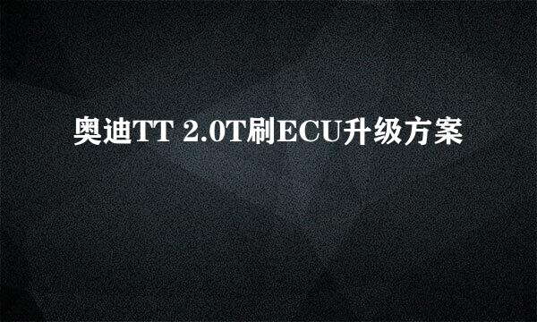 奥迪TT 2.0T刷ECU升级方案