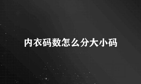 内衣码数怎么分大小码