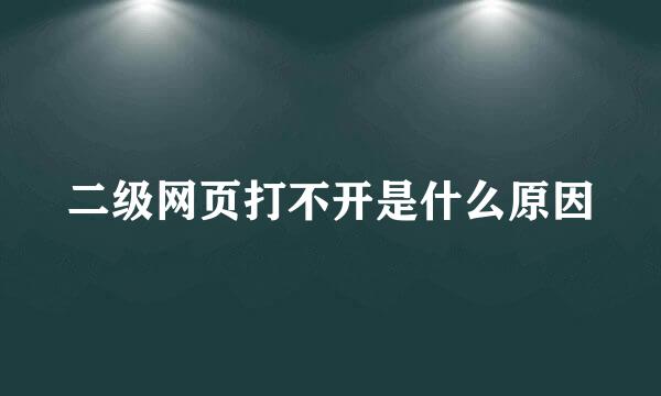 二级网页打不开是什么原因