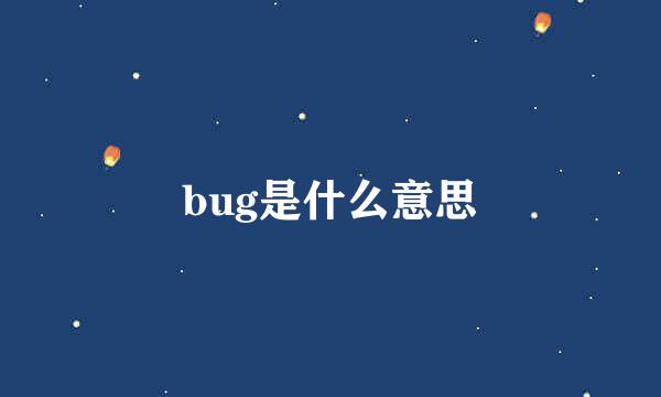 bug是什么意思