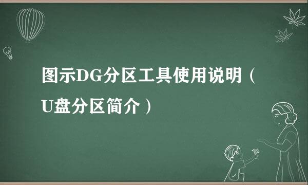 图示DG分区工具使用说明（U盘分区简介）