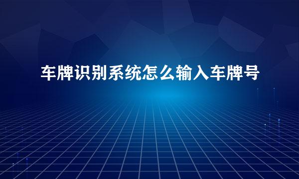 车牌识别系统怎么输入车牌号