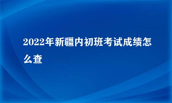 2022年新疆内初班考试成绩怎么查