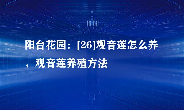 阳台花园：[26]观音莲怎么养，观音莲养殖方法