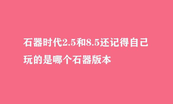 石器时代2.5和8.5还记得自己玩的是哪个石器版本