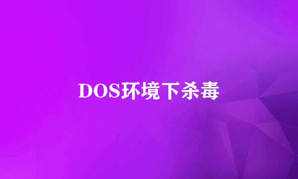 DOS环境下杀毒