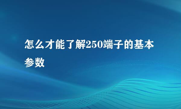 怎么才能了解250端子的基本参数