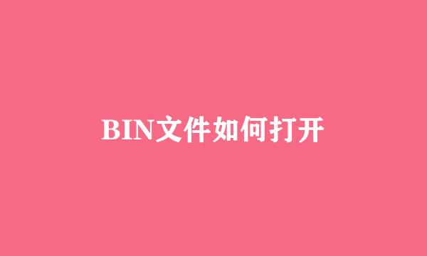 BIN文件如何打开