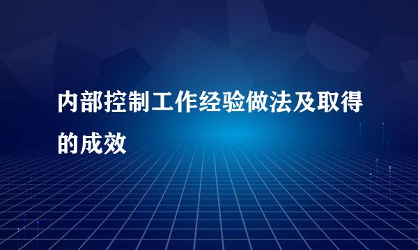 内部控制工作经验做法及取得的成效