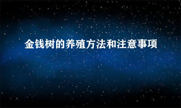 金钱树的养殖方法和注意事项