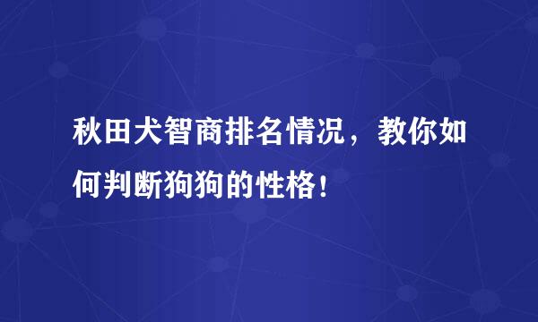 秋田犬智商排名情况，教你如何判断狗狗的性格！