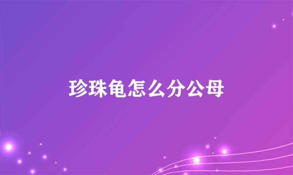 珍珠龟怎么分公母