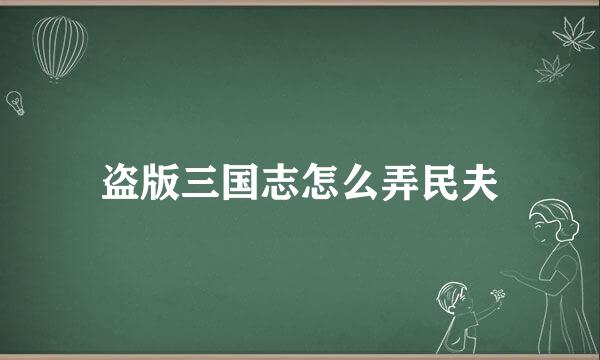 盗版三国志怎么弄民夫