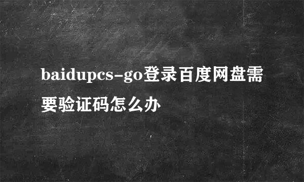 baidupcs-go登录百度网盘需要验证码怎么办