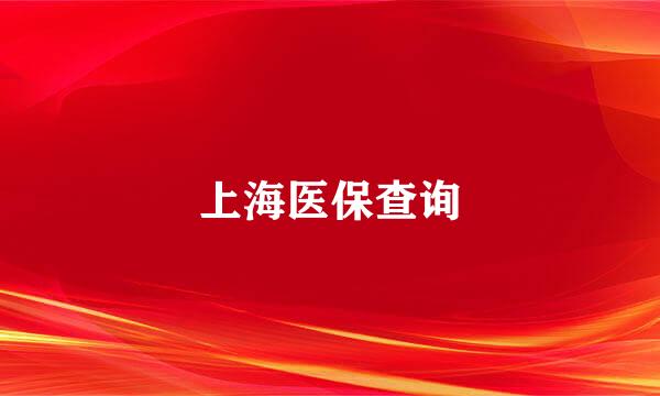 上海医保查询