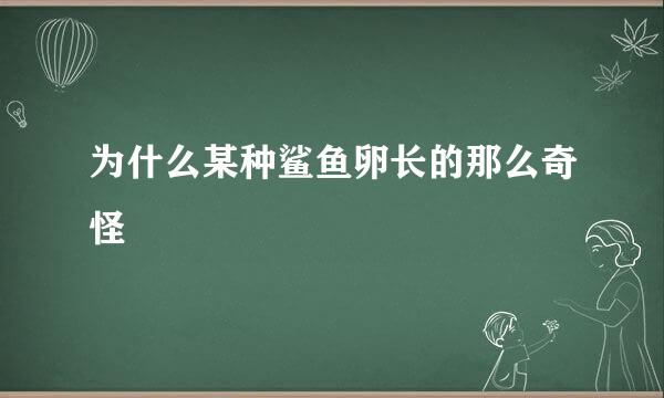 为什么某种鲨鱼卵长的那么奇怪