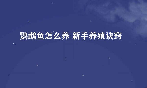 鹦鹉鱼怎么养 新手养殖诀窍