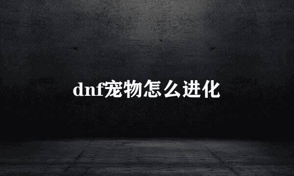 dnf宠物怎么进化