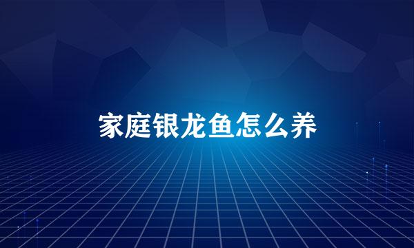 家庭银龙鱼怎么养