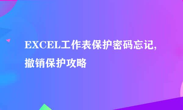 EXCEL工作表保护密码忘记,撤销保护攻略