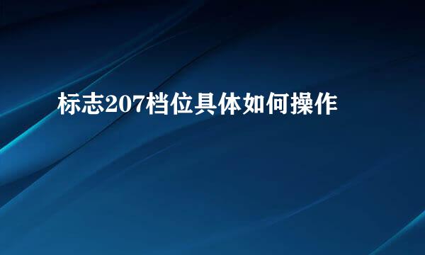 标志207档位具体如何操作