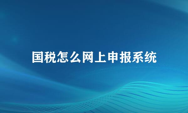 国税怎么网上申报系统