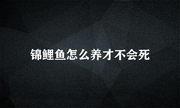 锦鲤鱼怎么养才不会死