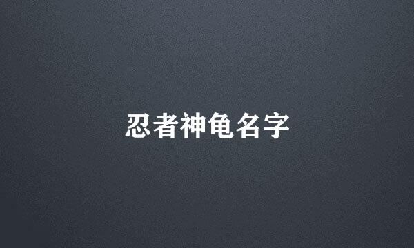 忍者神龟名字