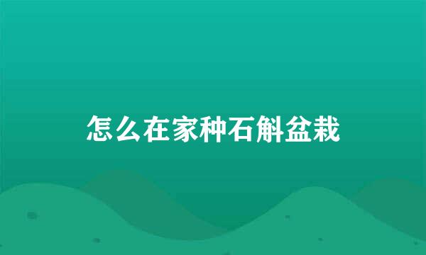 怎么在家种石斛盆栽