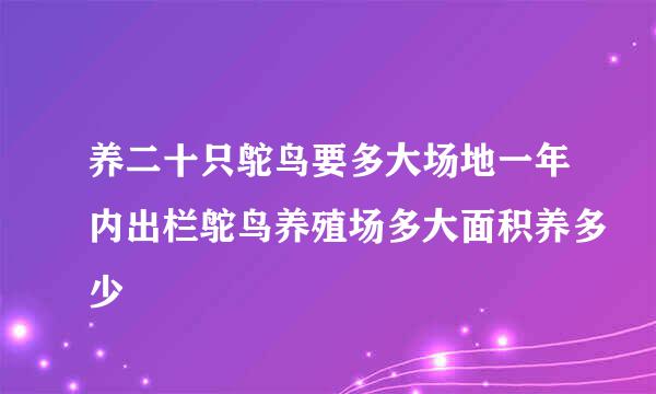 养二十只鸵鸟要多大场地一年内出栏鸵鸟养殖场多大面积养多少