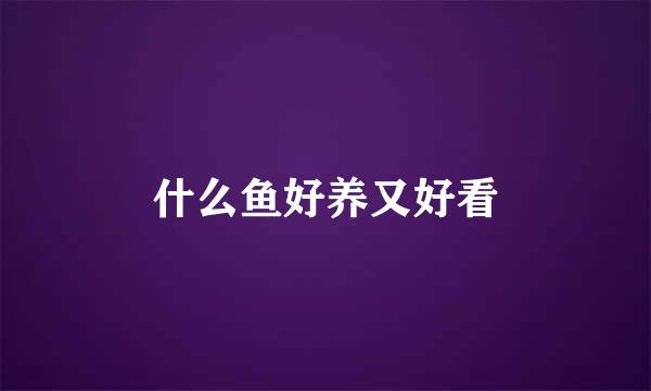 什么鱼好养又好看