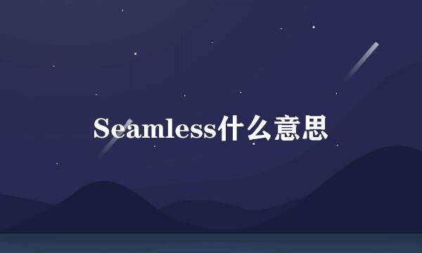 Seamless什么意思