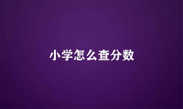 小学怎么查分数