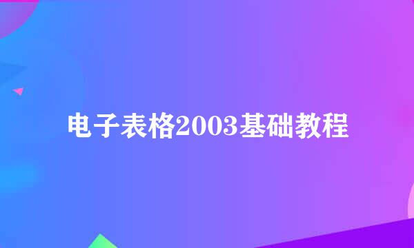 电子表格2003基础教程