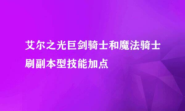 艾尔之光巨剑骑士和魔法骑士刷副本型技能加点