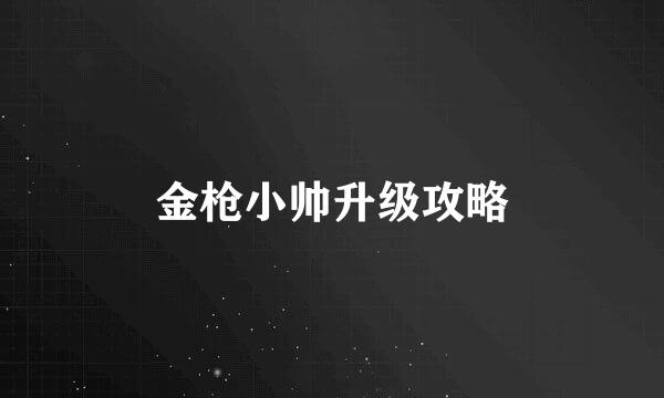 金枪小帅升级攻略