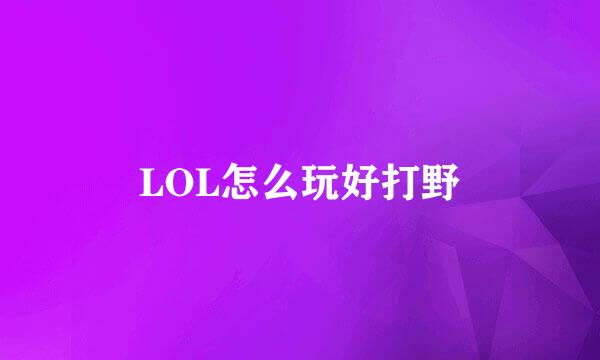 LOL怎么玩好打野