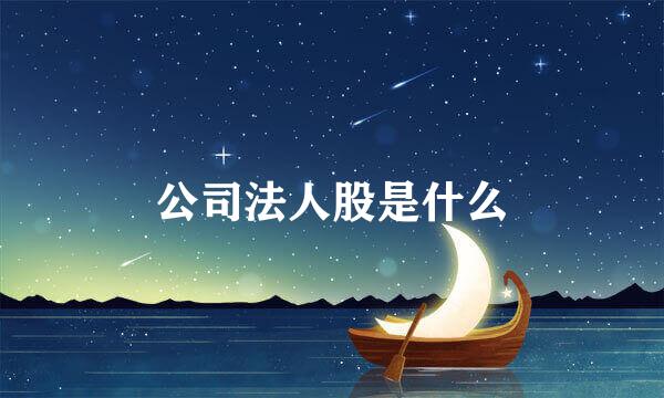 公司法人股是什么