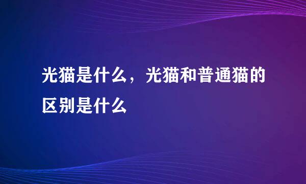 光猫是什么，光猫和普通猫的区别是什么