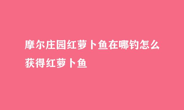 摩尔庄园红萝卜鱼在哪钓怎么获得红萝卜鱼