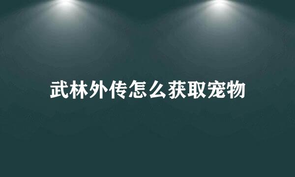 武林外传怎么获取宠物