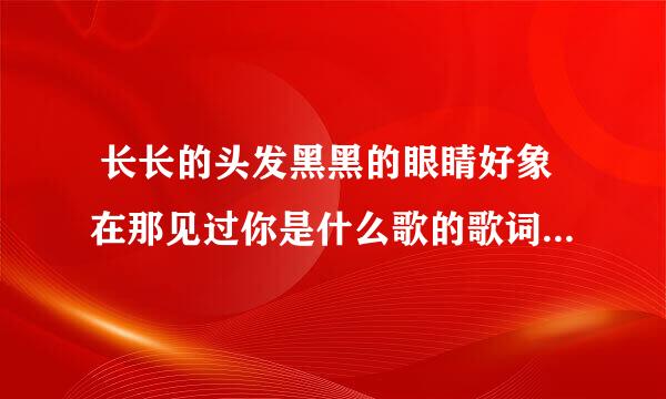  长长的头发黑黑的眼睛好象在那见过你是什么歌的歌词？   