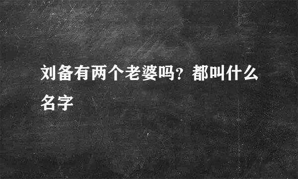 刘备有两个老婆吗？都叫什么名字