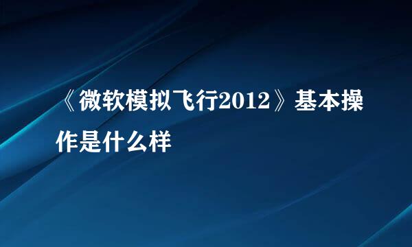 《微软模拟飞行2012》基本操作是什么样