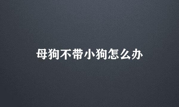 母狗不带小狗怎么办