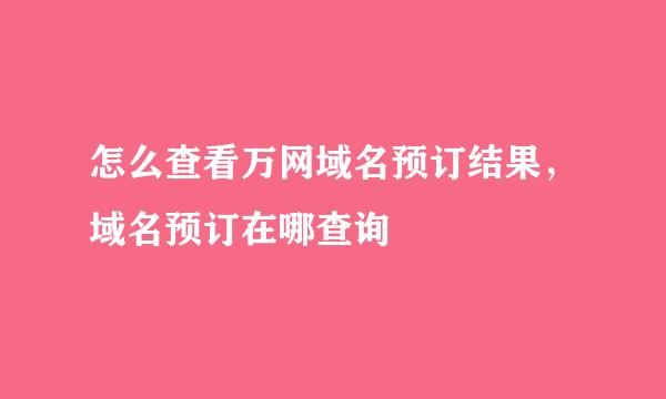 怎么查看万网域名预订结果，域名预订在哪查询