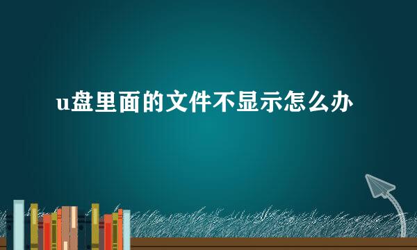 u盘里面的文件不显示怎么办