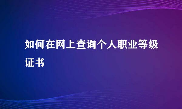 如何在网上查询个人职业等级证书